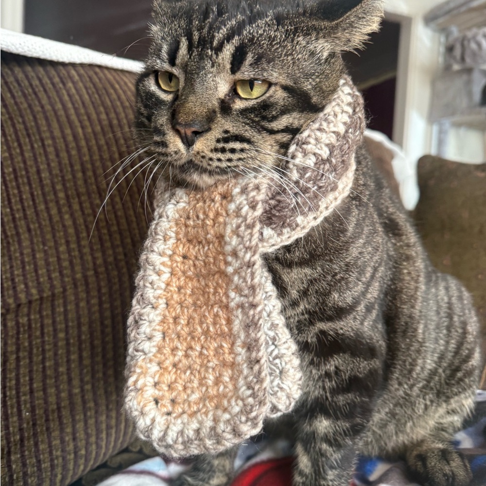 Cozy Knit Scarf Cat / Small Dog Scarf in Brown and Tan